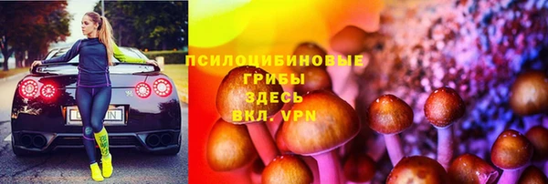 спиды Пестово