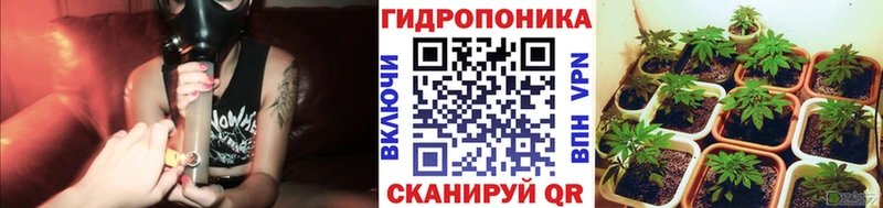 Бошки Шишки сатива  что такое   Алзамай 